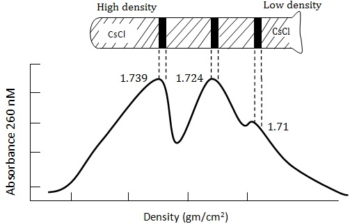 caesium density