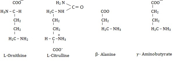 Reaction of Amino Acids Assignment Help Homework Help Online Live ...