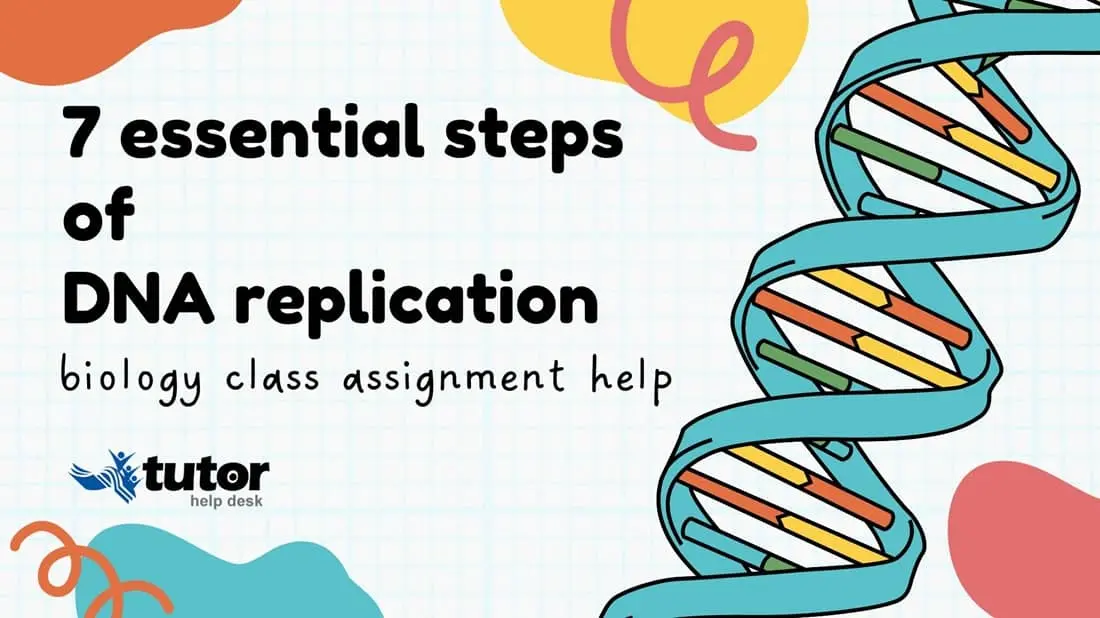 dna replication biology assignment help